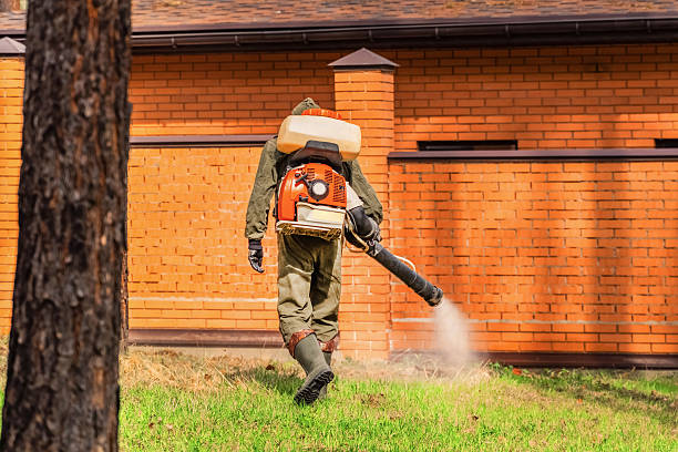 Trusted Ant Control service in Cressona, PA - Nex Pest Control